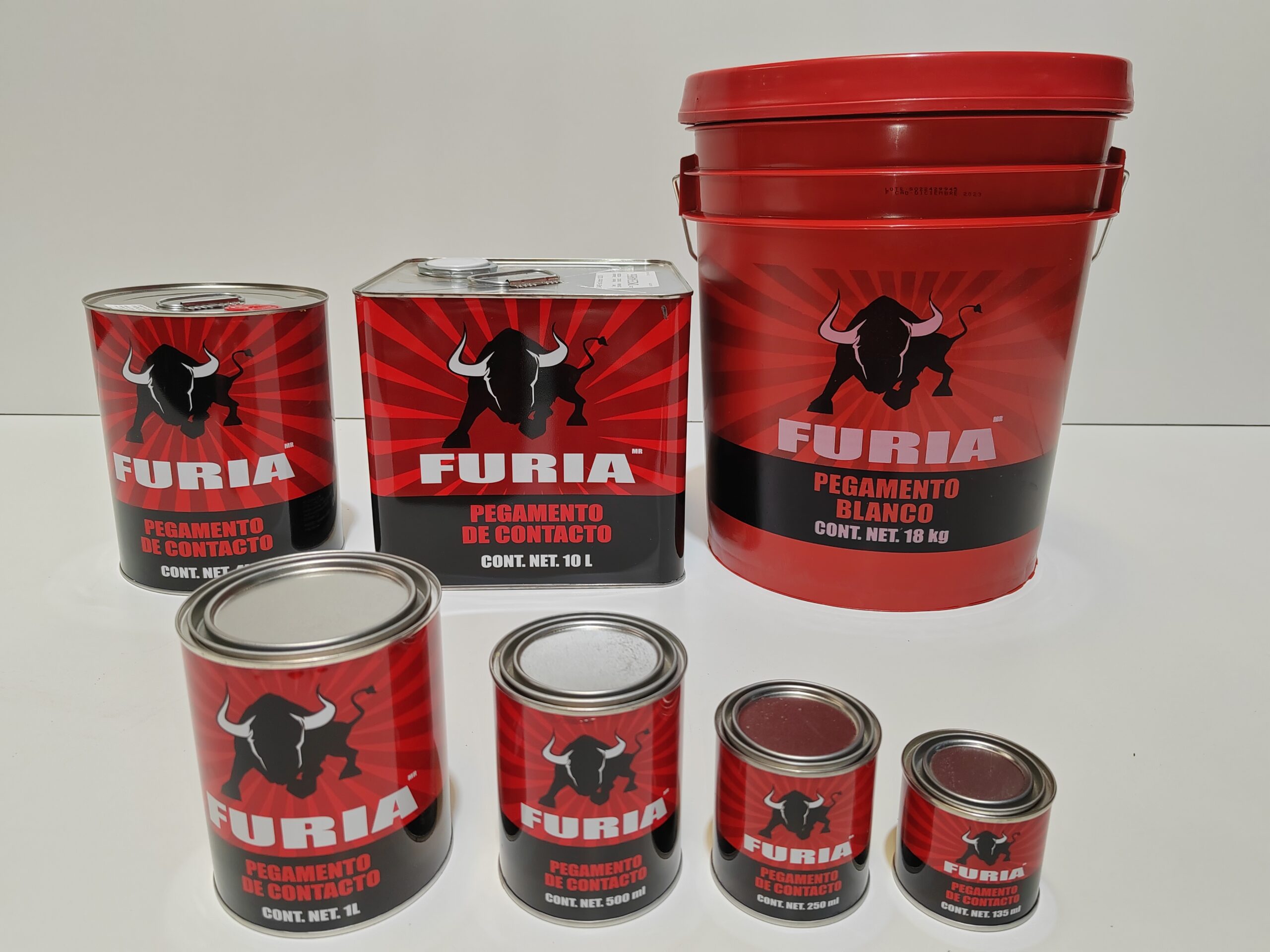 Furia Presentaciones